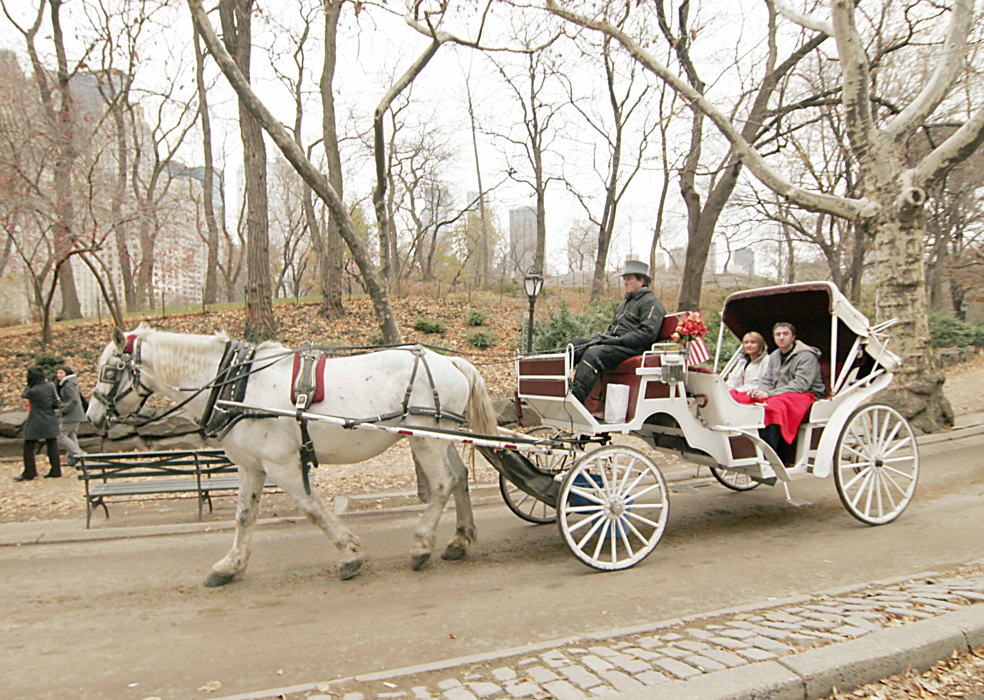 central park carriage