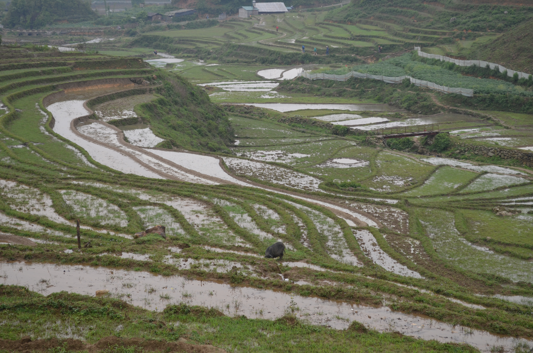 SaPa, Vietnam