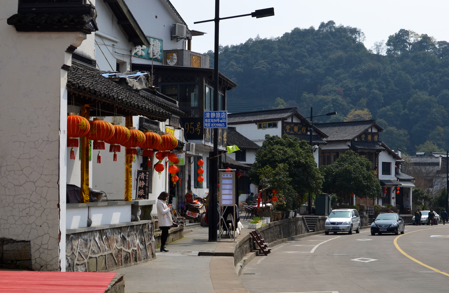 Tea Plantation, Hangzhou