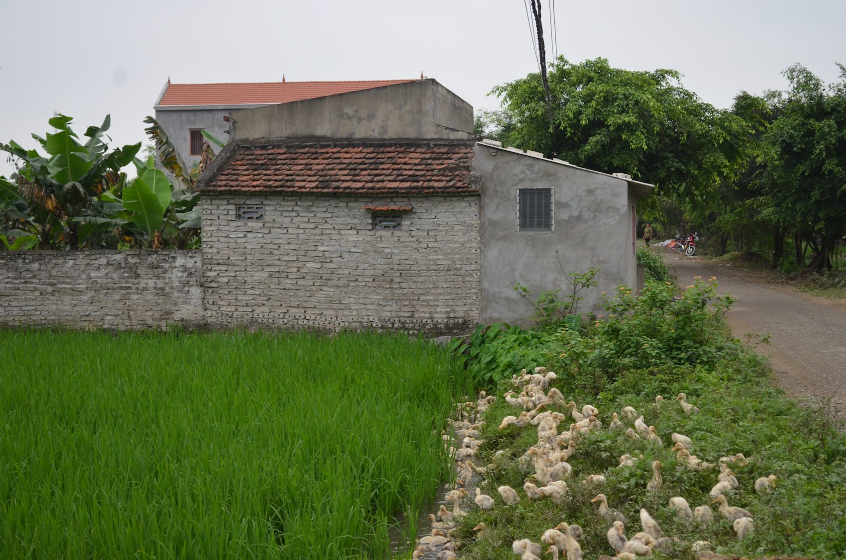 Ninh Binh, Vietnam