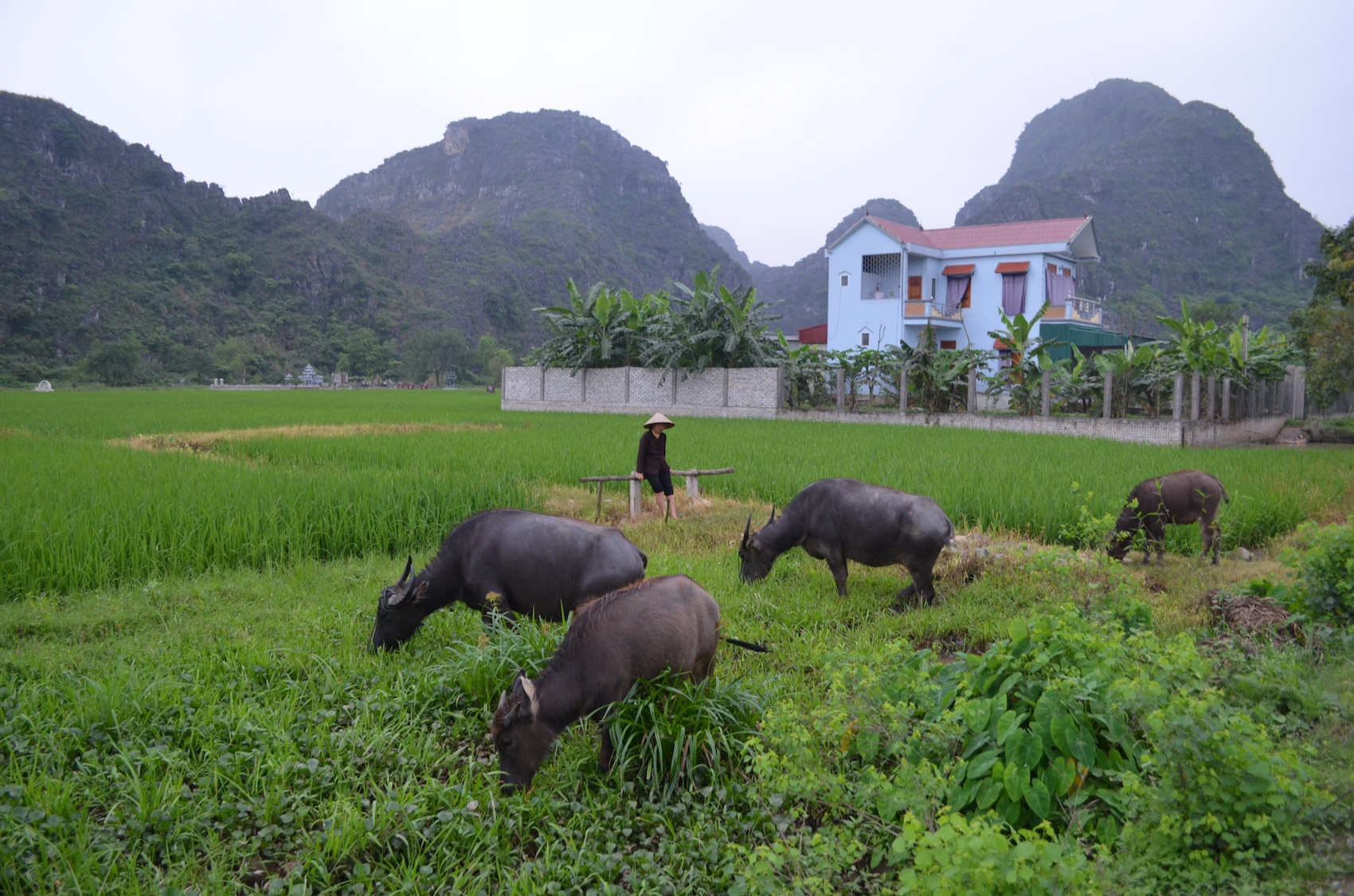 Ninh Binh, Vietnam