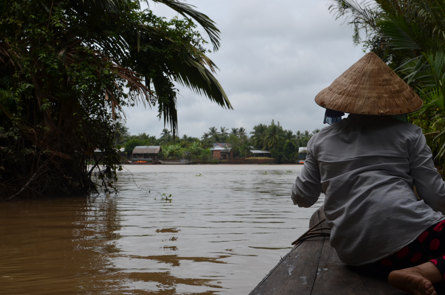 Mekong Delta, Vietnam