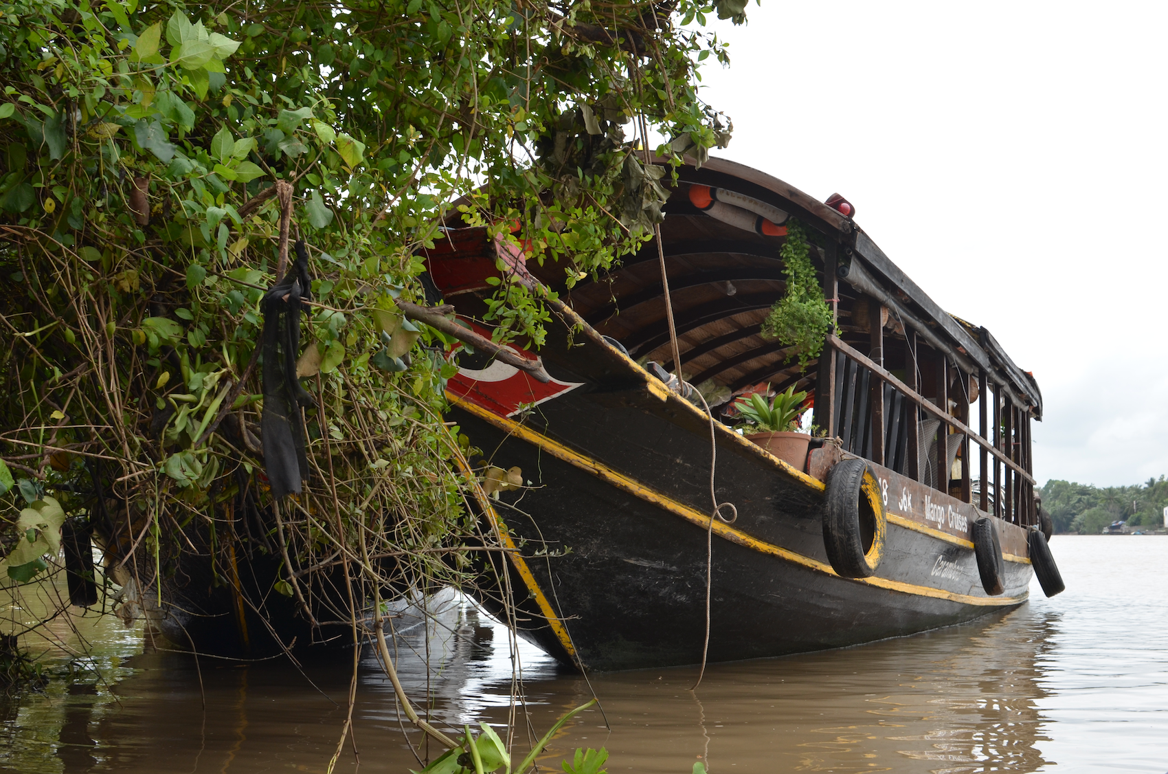 Mekong Delta, Vietnam