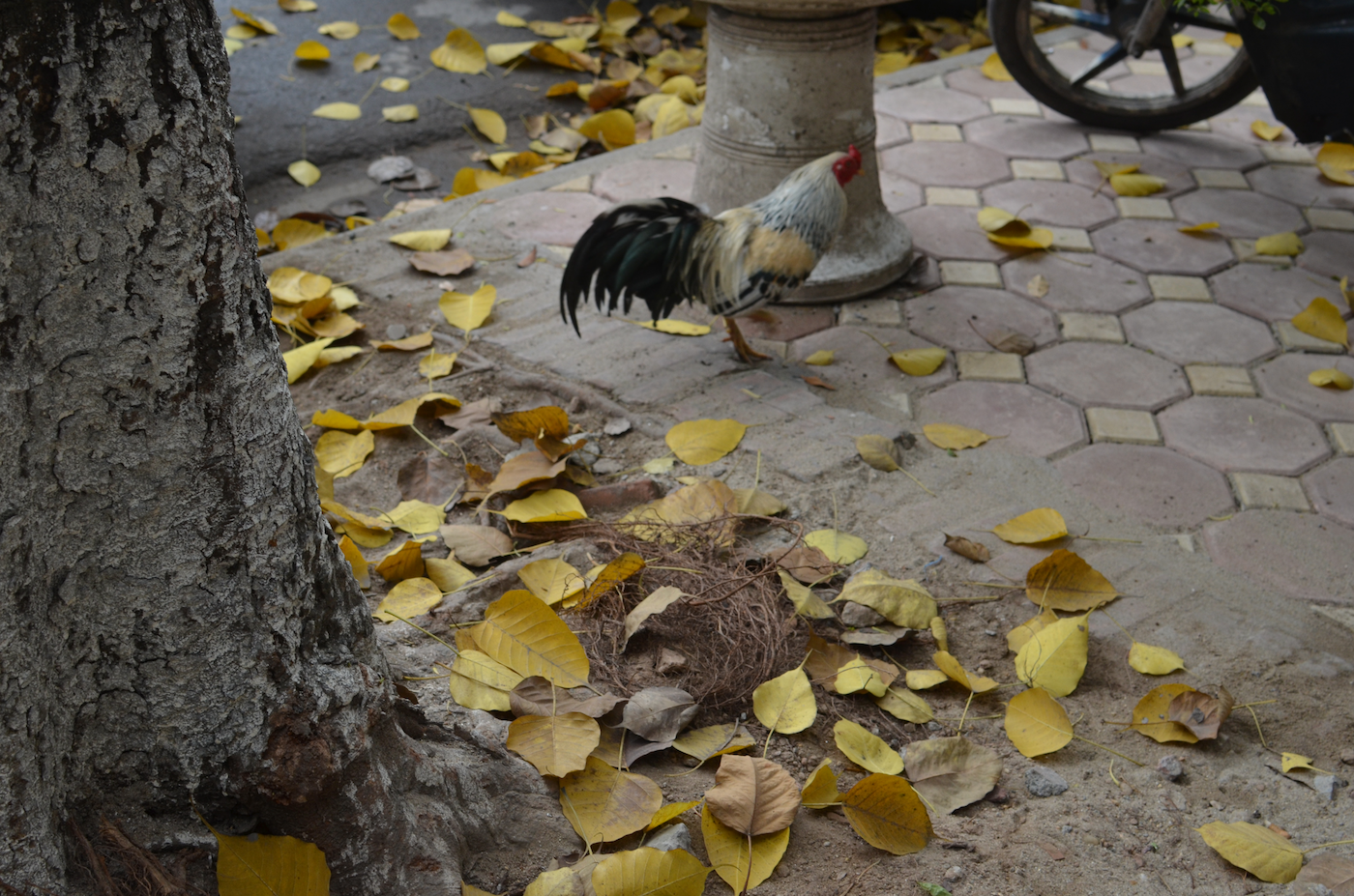 Hanoi, Vietnam