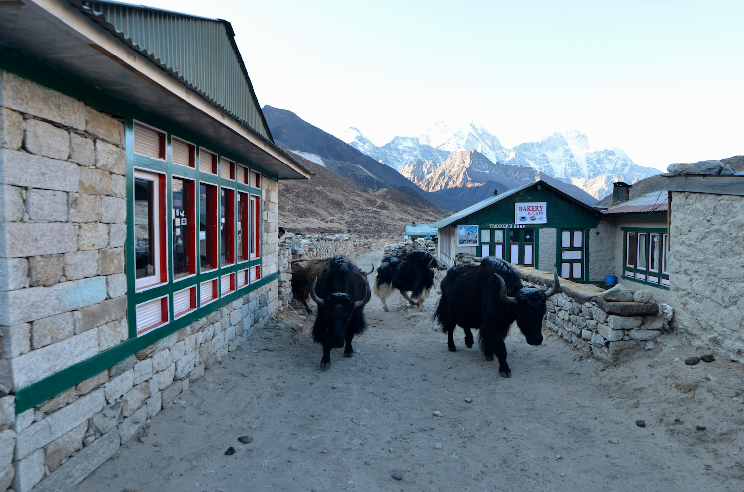 Everest Base Camp Trek