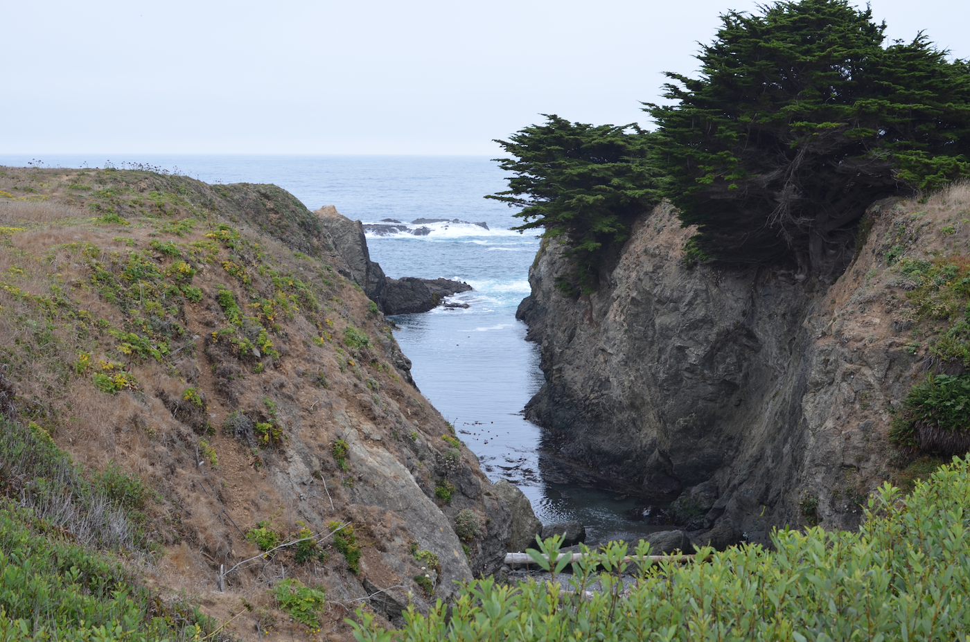 Mendocino County, California