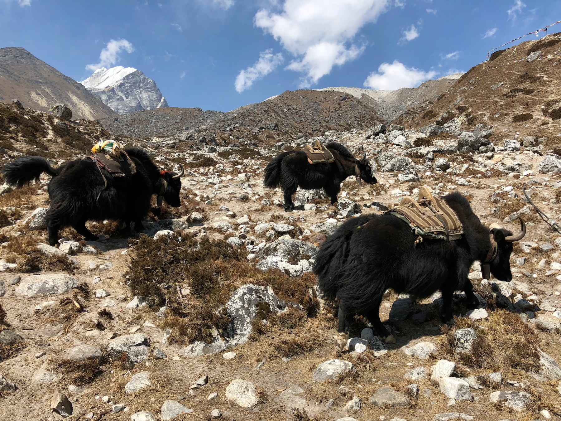 Everest Base Camp Trek