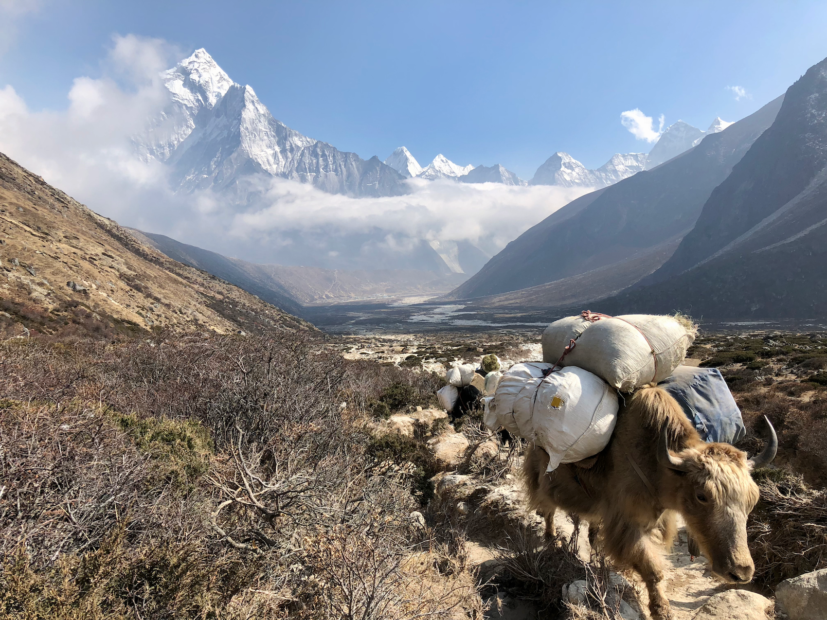 Everest Base Camp Trek