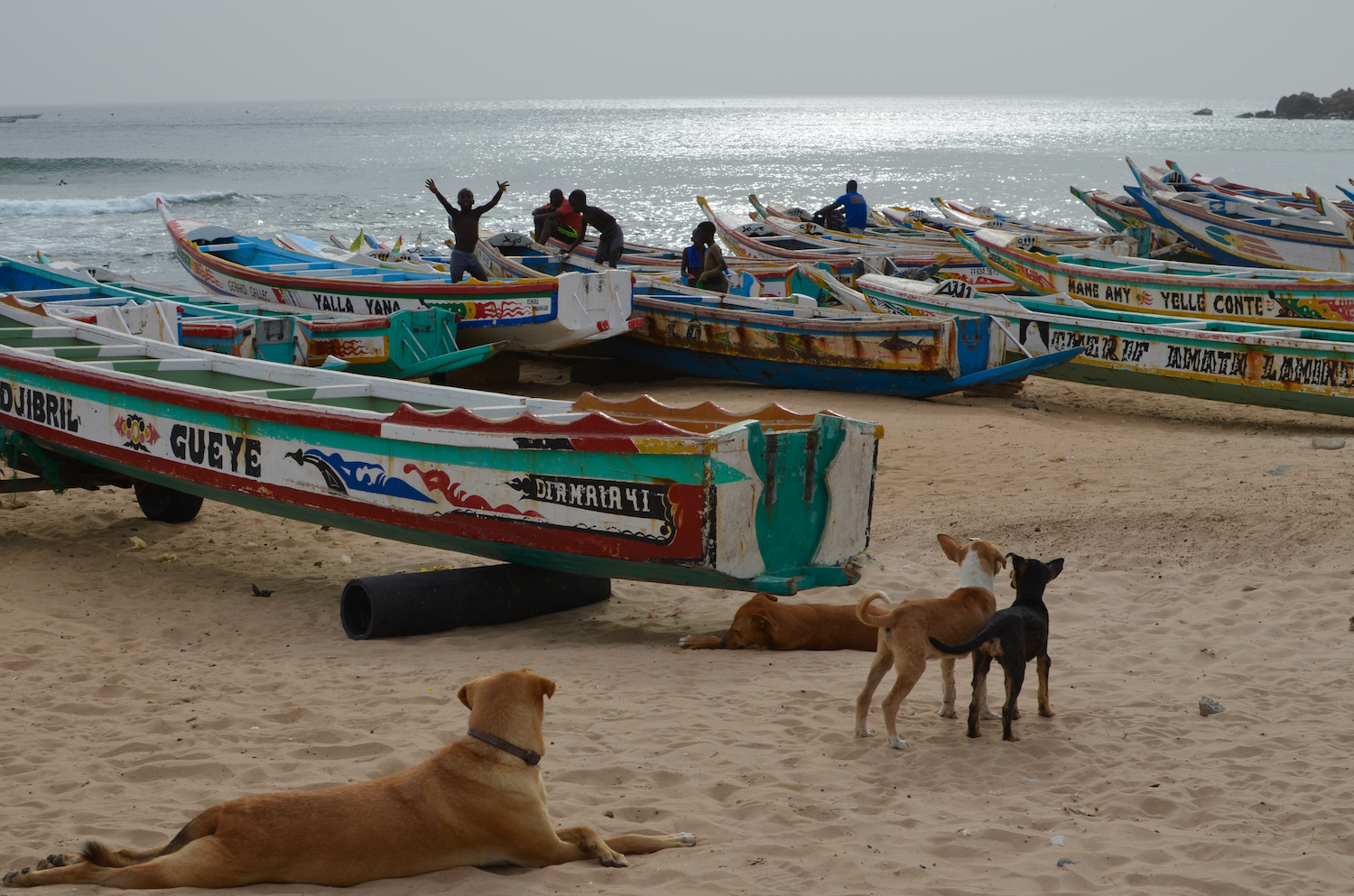 Mosque of the Divinity, Dakar, Senegal