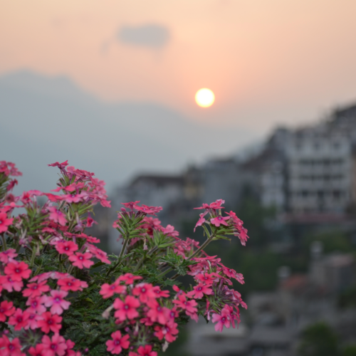 SaPa, Vietnam